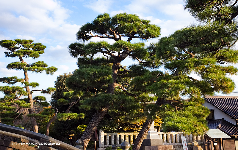 japonia,kamakura