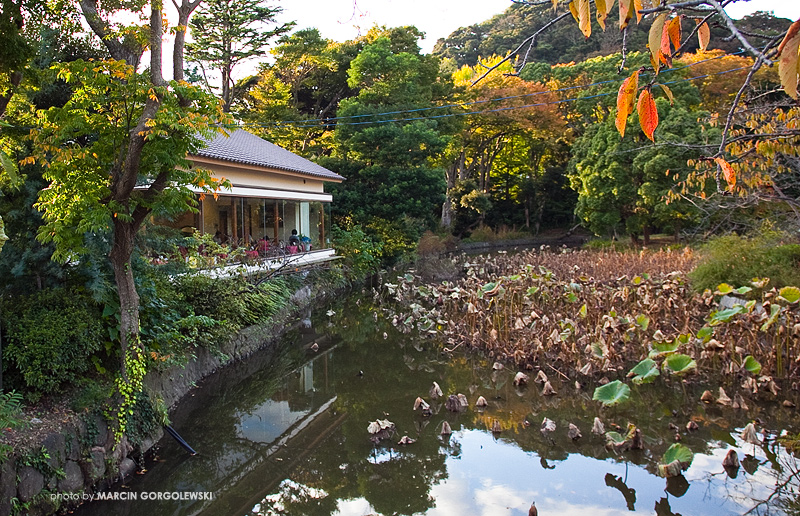 japonia,kamakura