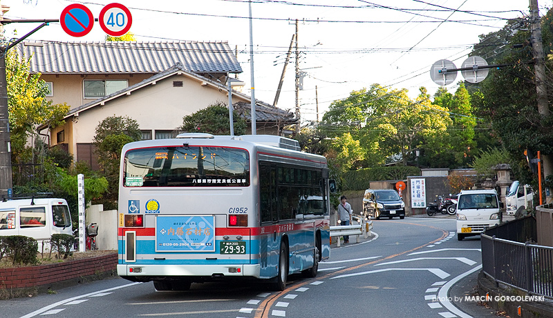 japonia,tereny_zielone