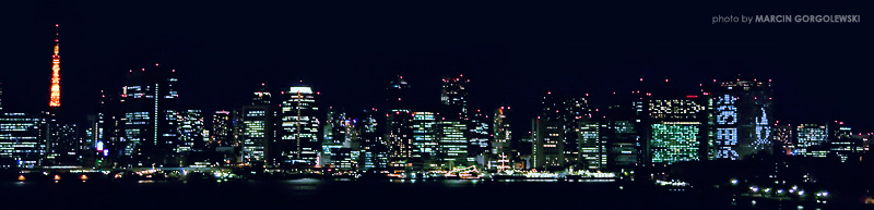 tokyo by night,panorama