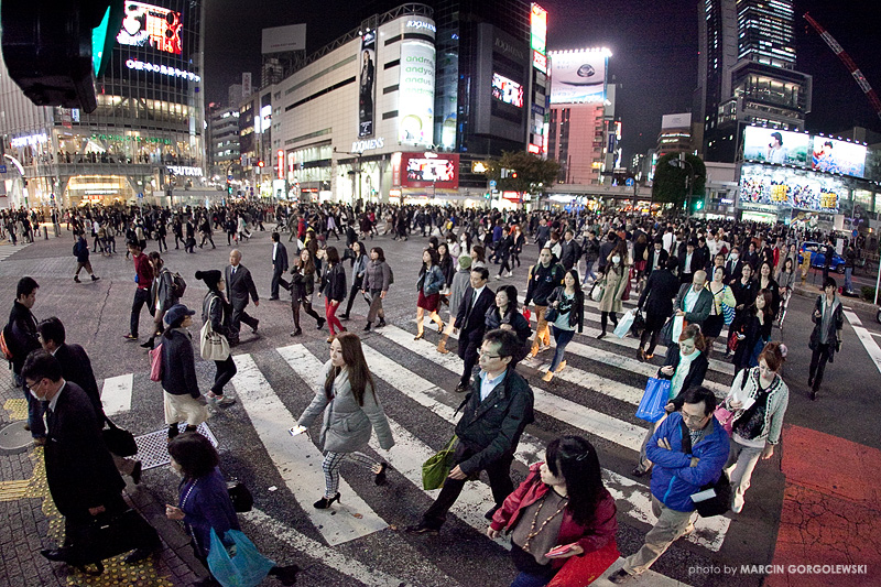 japonia,shibuya