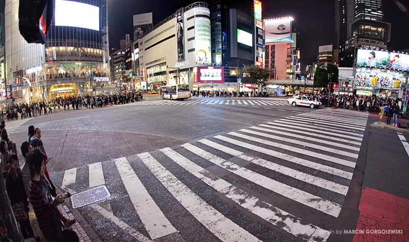 shibuya station