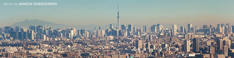 tokio,japan,japonia,panorama,zdjecie lotnicze