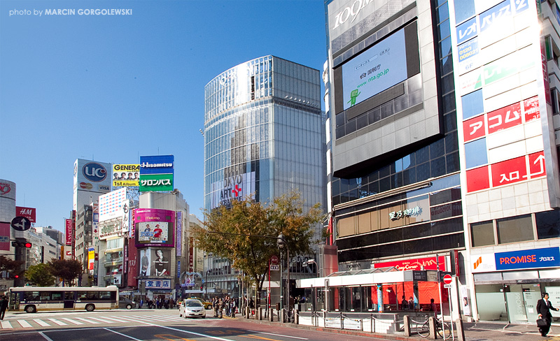 tokyo,shibuya