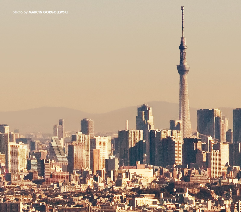 tokio,skytree,widok,wiezowce