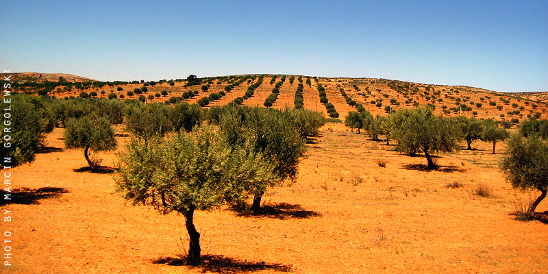 Acacus Mountains