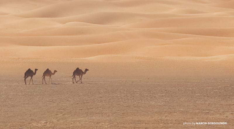 oman