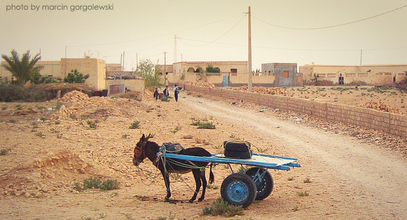 tunisia landscape