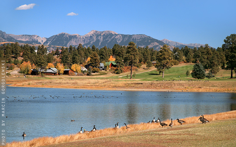 pinon lake,marcin gorgolewski