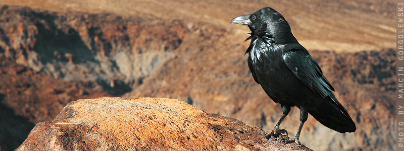 dolina śmierci,death valley,marcin gorgolewski