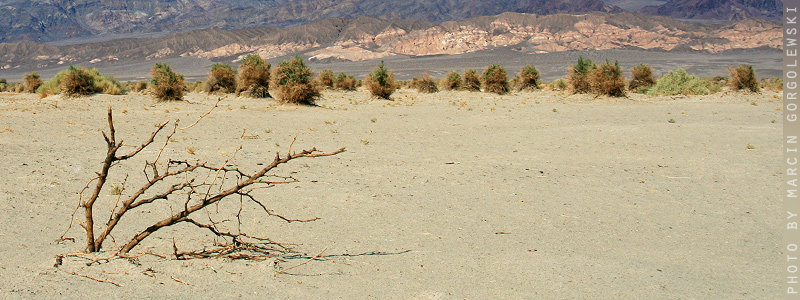 dolina śmierci,death valley,marcin gorgolewski