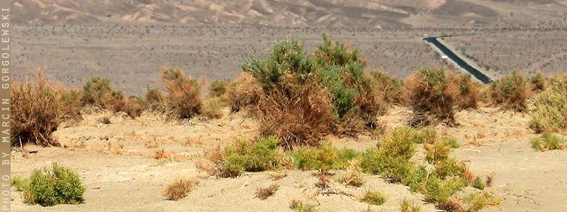 dolina śmierci,death valley,marcin gorgolewski