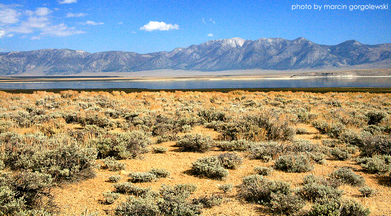 mono lake