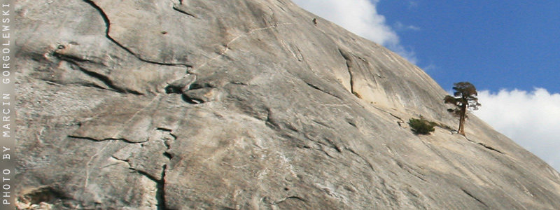 yosemite,marcin gorgolewski