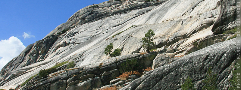 yosemite,marcin gorgolewski