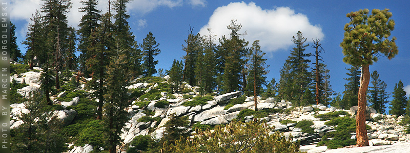 yosemite,marcin gorgolewski